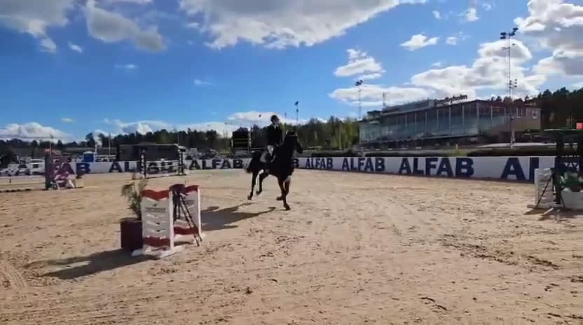 Hoppning hästar till salu: valack med mycket kapacitet! i Örebro - Video 1