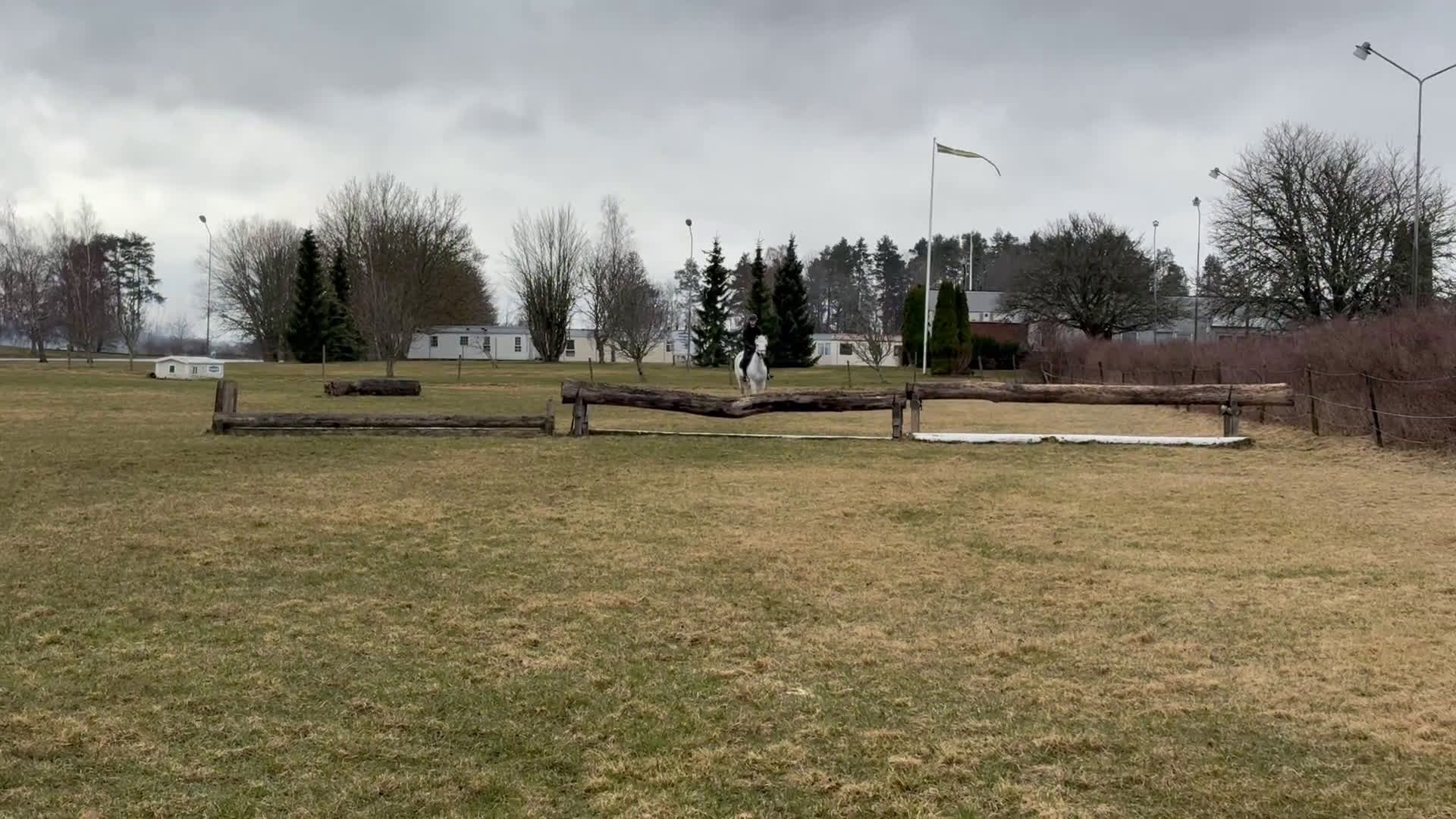 Hoppning hästar till salu: Supersöt D-ponny!❤️ - Video 3