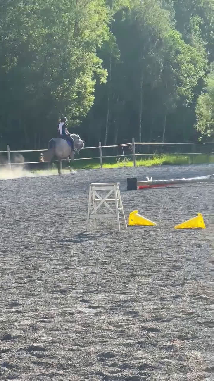 Working Equitation hästar till salu: PRE korsning Framtida bästa vännen. i Havdhem - Video 5