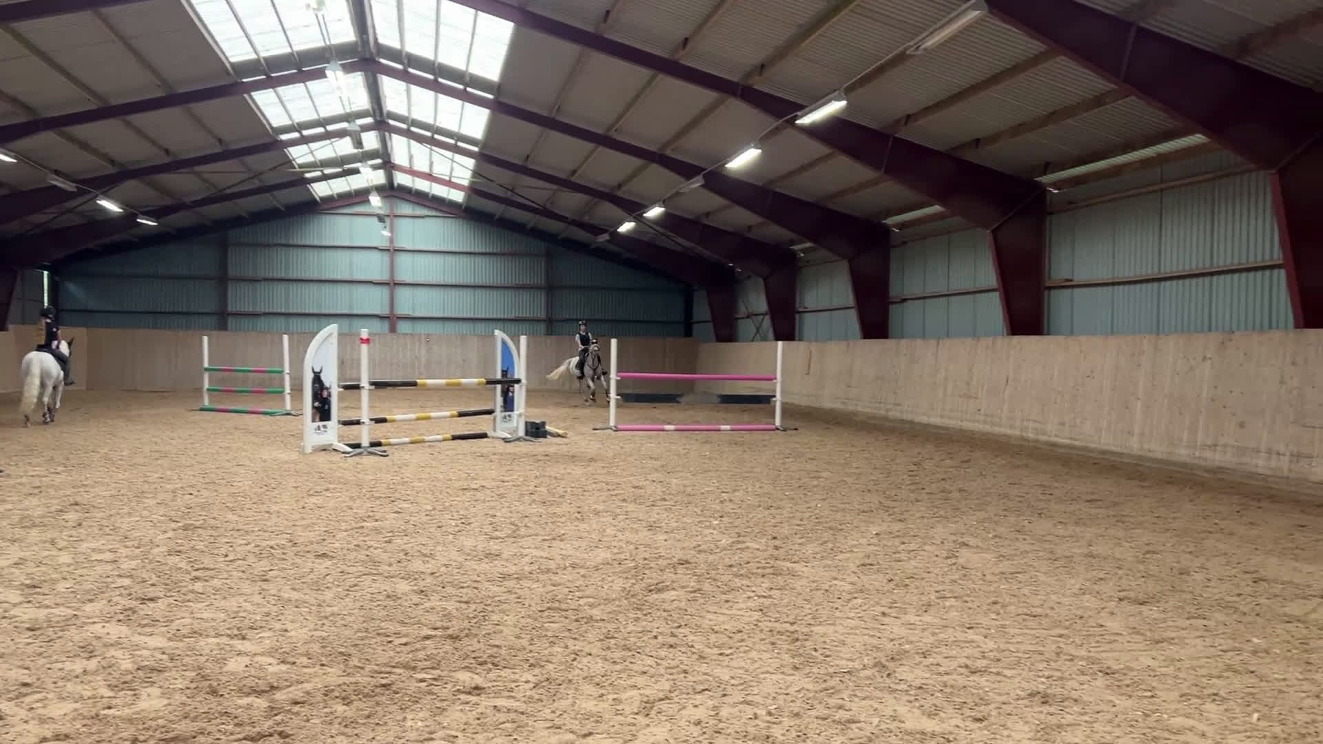 Hoppning hästar till salu: Balla Bella söker ny kompis! - Video 2