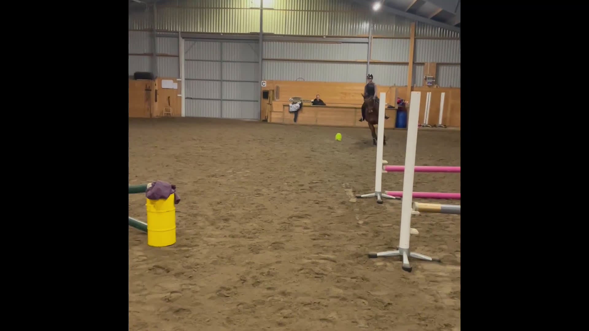 Allround hästar till salu: Fin valack  - Video 2