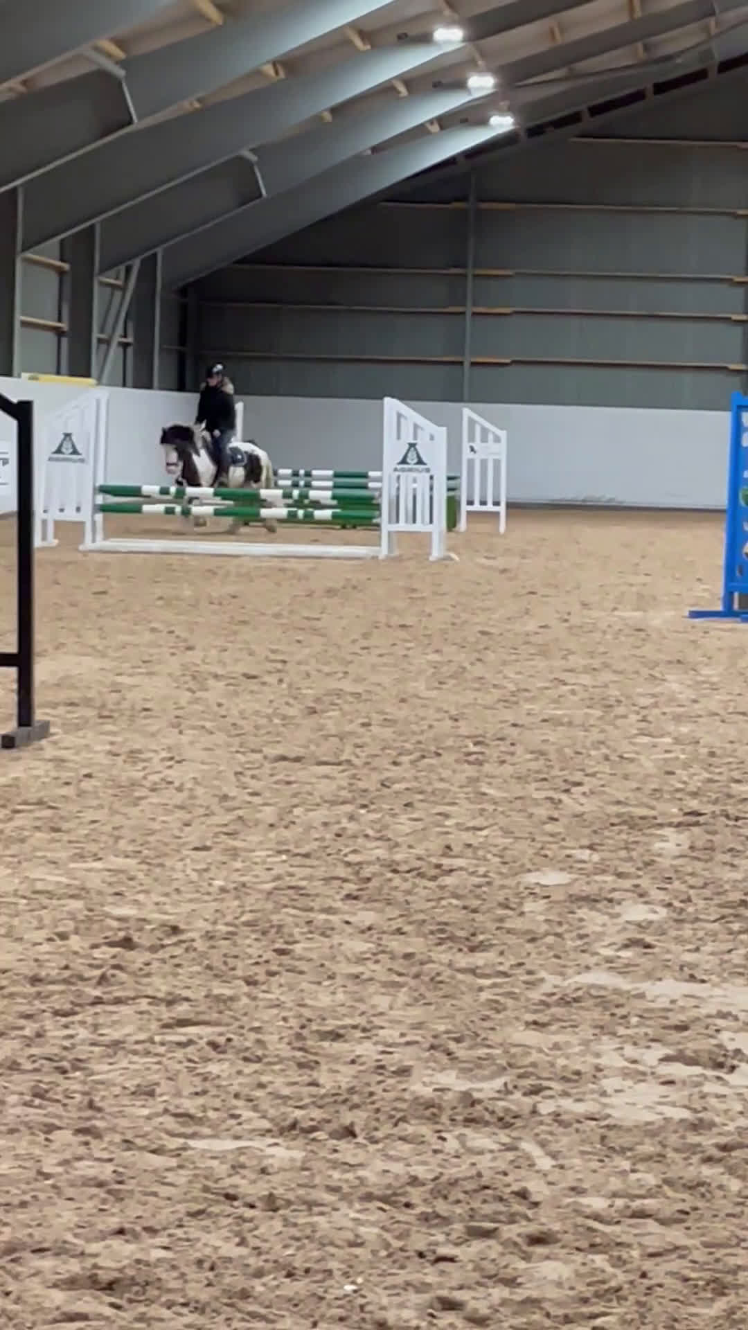 Allround hästar till salu: Superfin ungponny för framtiden! i Arboga - Video 4