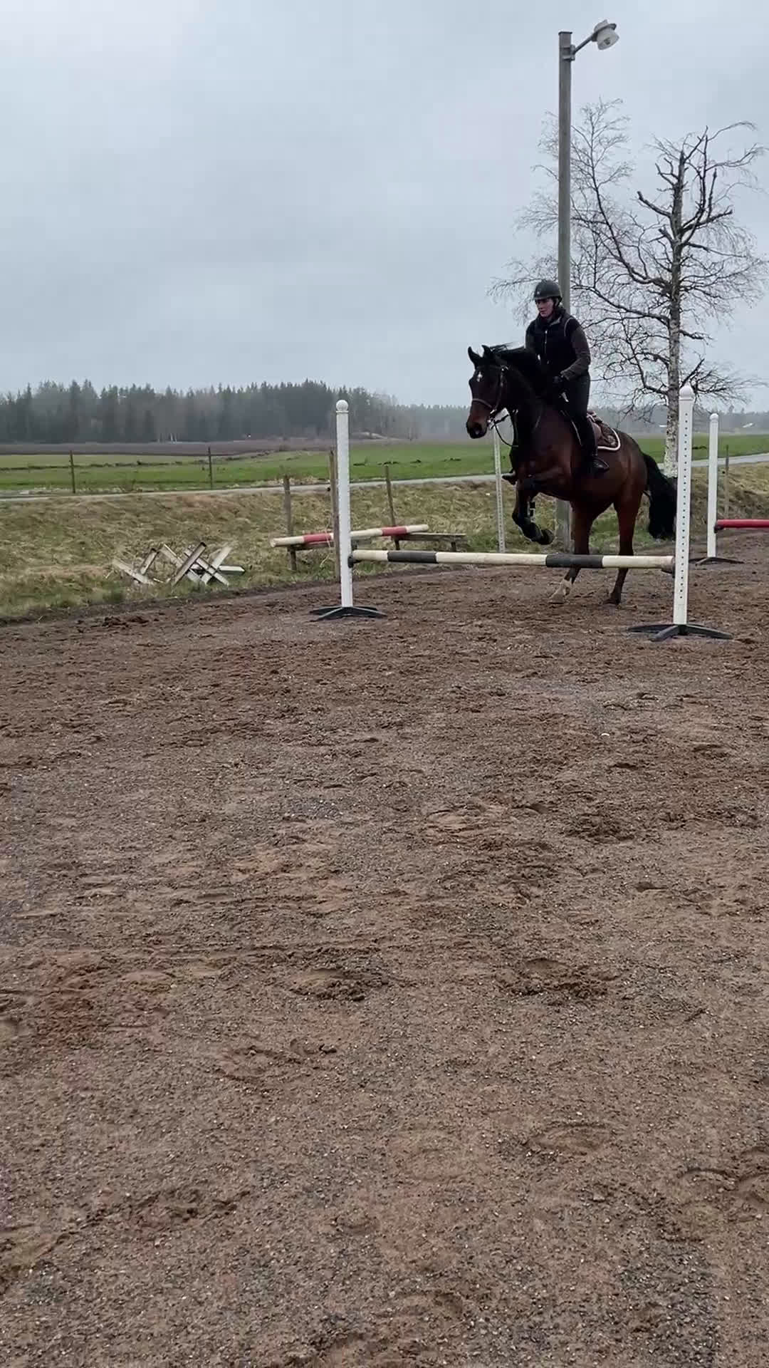 Allround hästar till salu: Snygg valack RESERVERAD  i Eksjö - Video 2