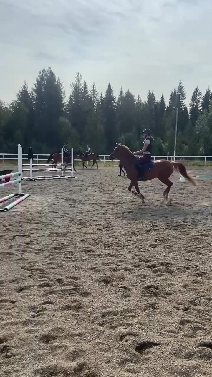 Hoppning hästar till salu: Charmig ponny till salu 🦄 - Video 2