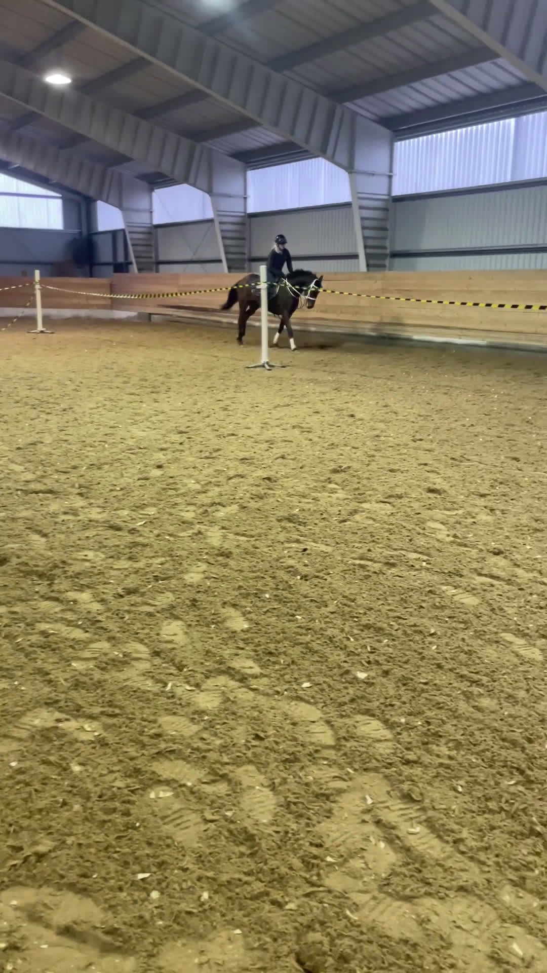 Övrigt hästar till salu: Till Dig med kunskap och tid! i Bälinge - Video 4