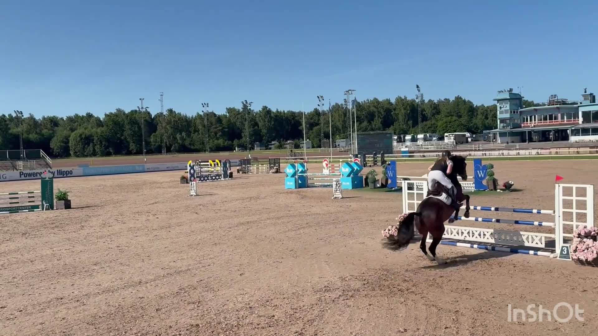 Hoppning hästar till salu: Lovande 5åring  i Mjölby - Video 1