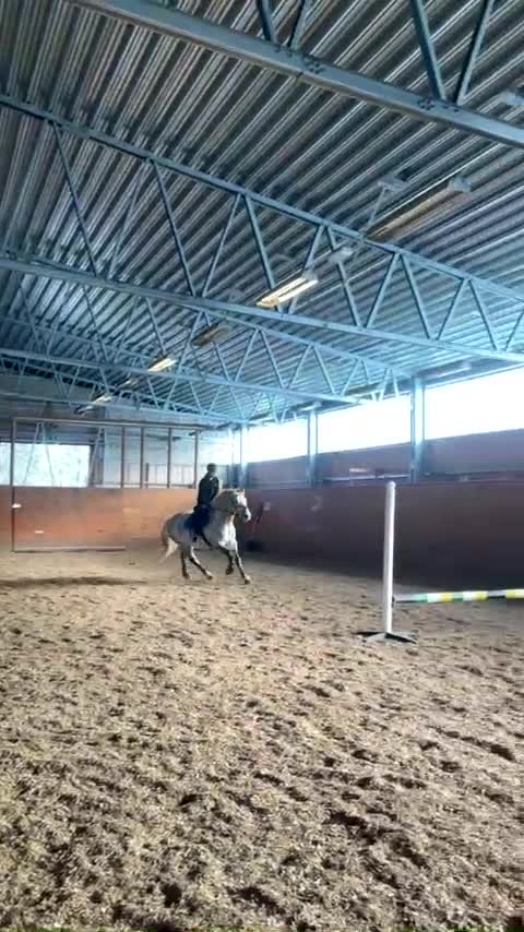  hästjobb finnes: Stalljobb sökes fr.o.m september! i Göteborg - Video 3