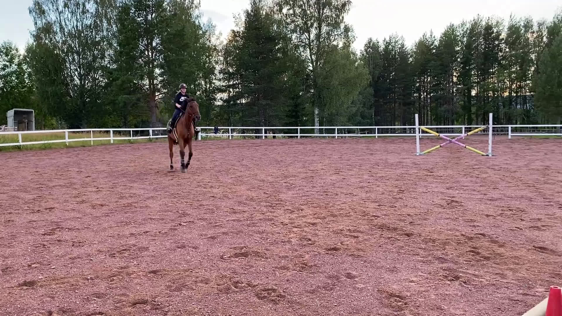 Hoppning hästar till salu: SWB valack i Orsa - Video 3