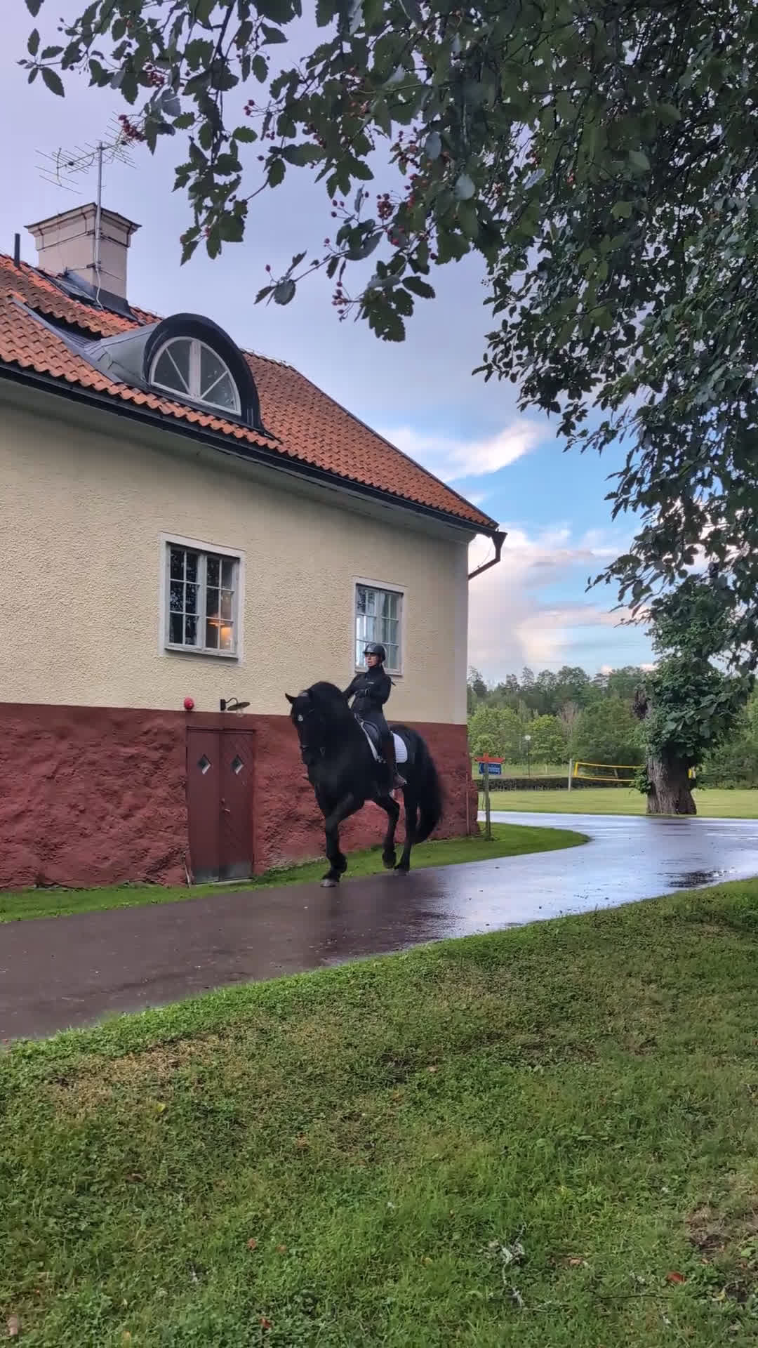 Dressyr hästar till salu: Frieser sto i Oxelösund - Video 4