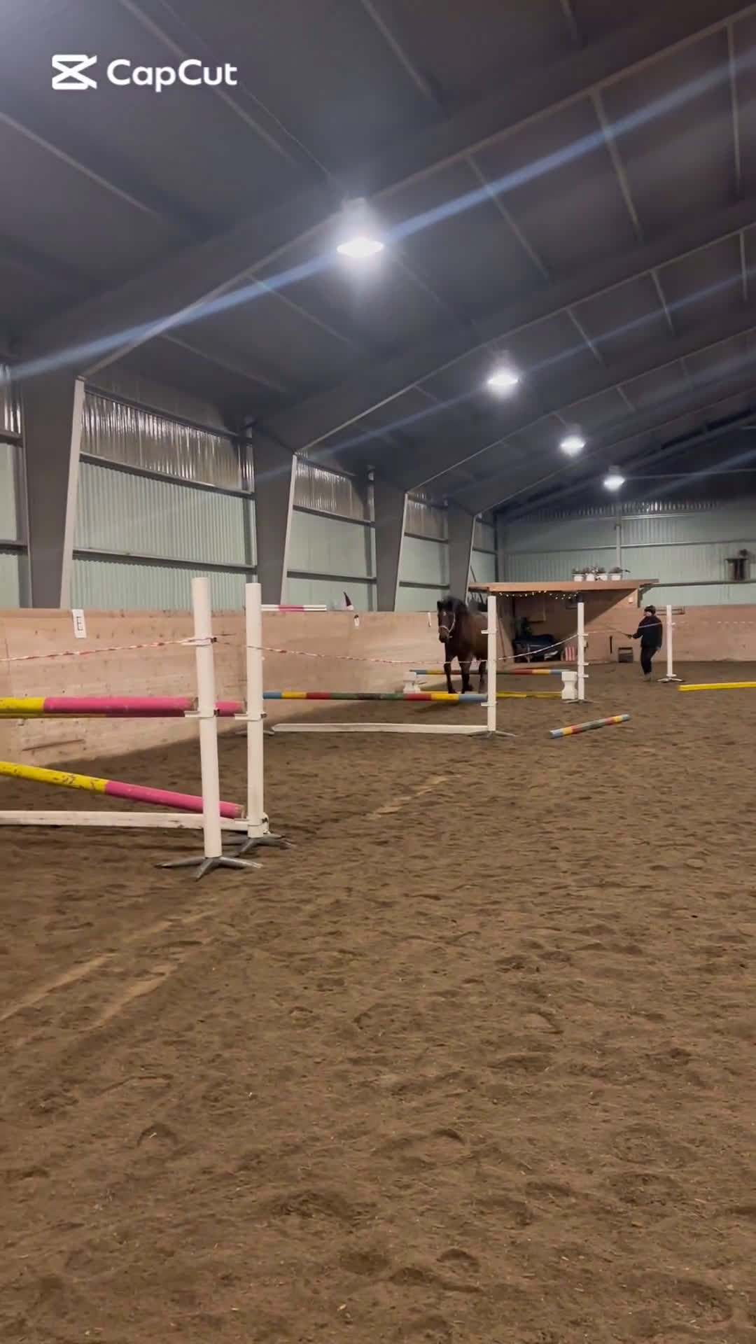 Hoppning hästar till salu: Framtida multitalang  - Video 1