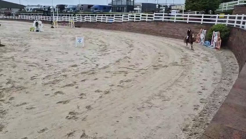 Dressyr hästar till salu: Super amazing pony i Göteborg - Video 4