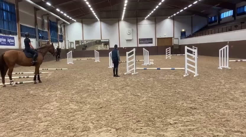 Hoppning hästar till salu: valack med mycket kapacitet! i Örebro - Video 2