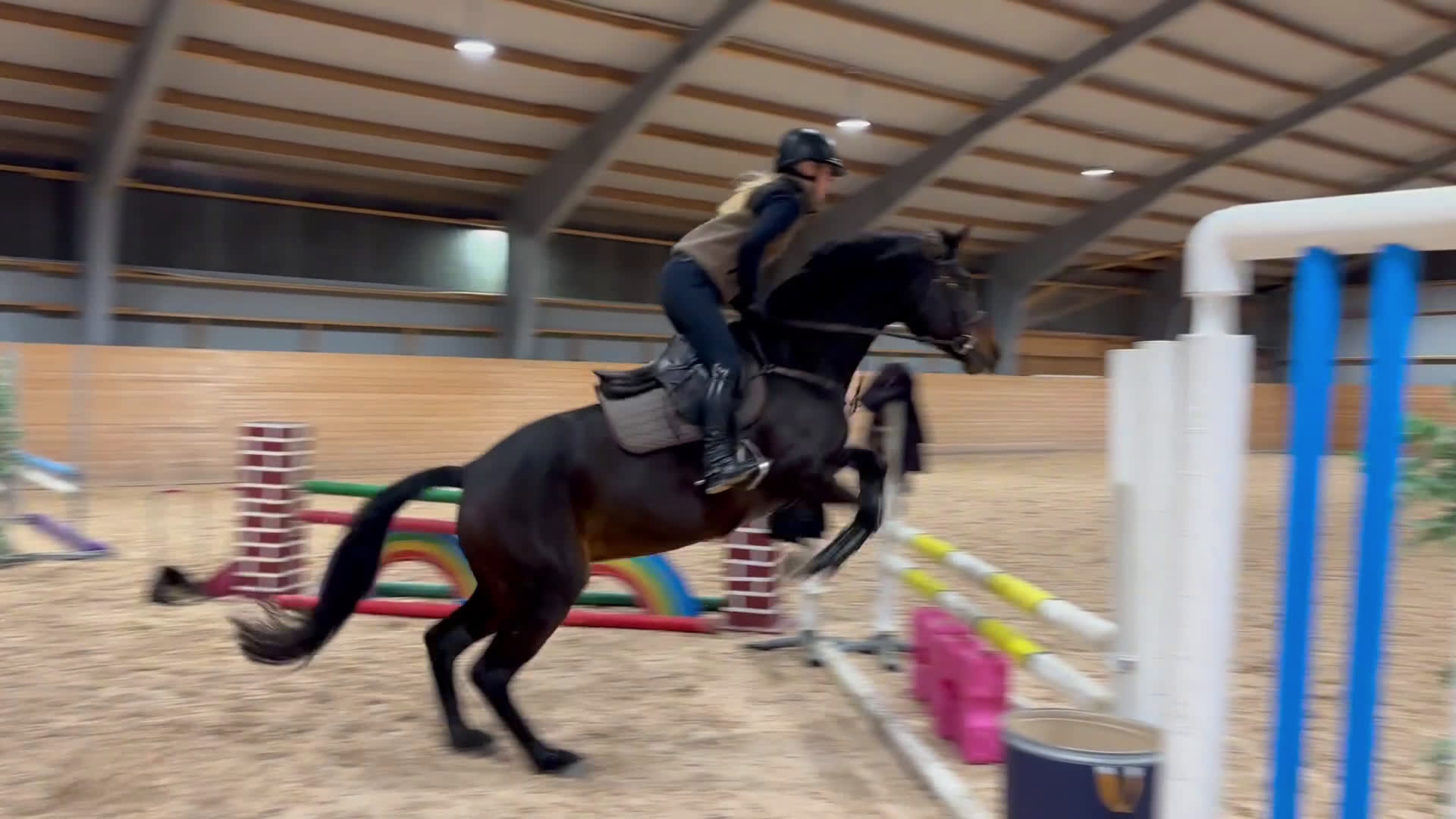 Hoppning hästar till salu: 13 årigt sto i Skepplanda - Video 2