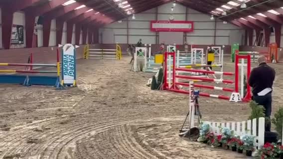Hoppning hästar till salu: Smuk og talentfuld skimmel - Video 2