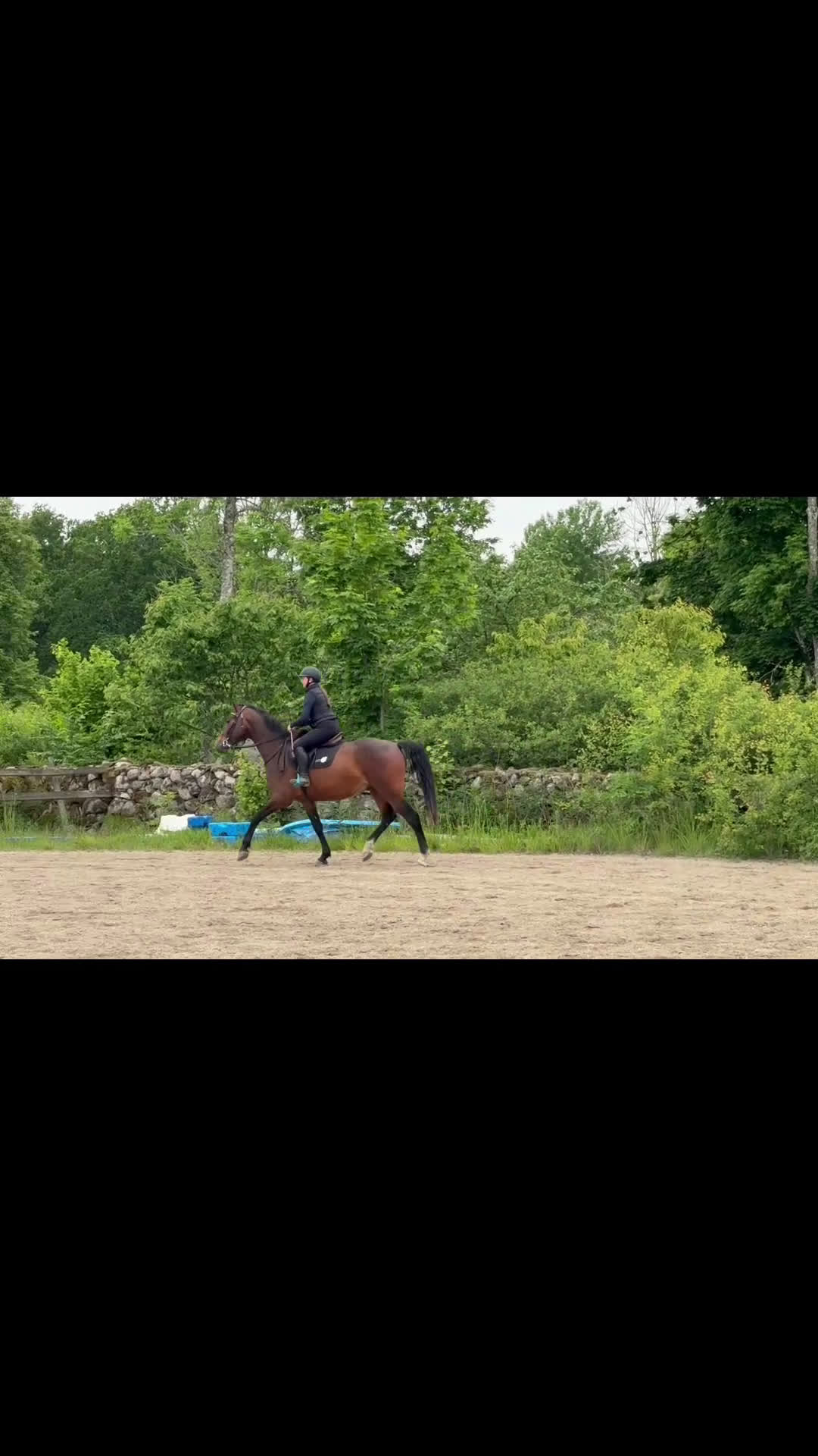 Allround hästar till salu: Trevlig 3-åring i Vissefjärda - Video 1