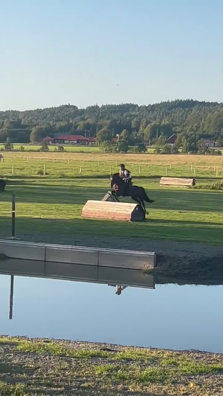 Hoppning hästar till salu: Mångsidig ponny med utstrålning!🌟 i Jörlanda - Video 4