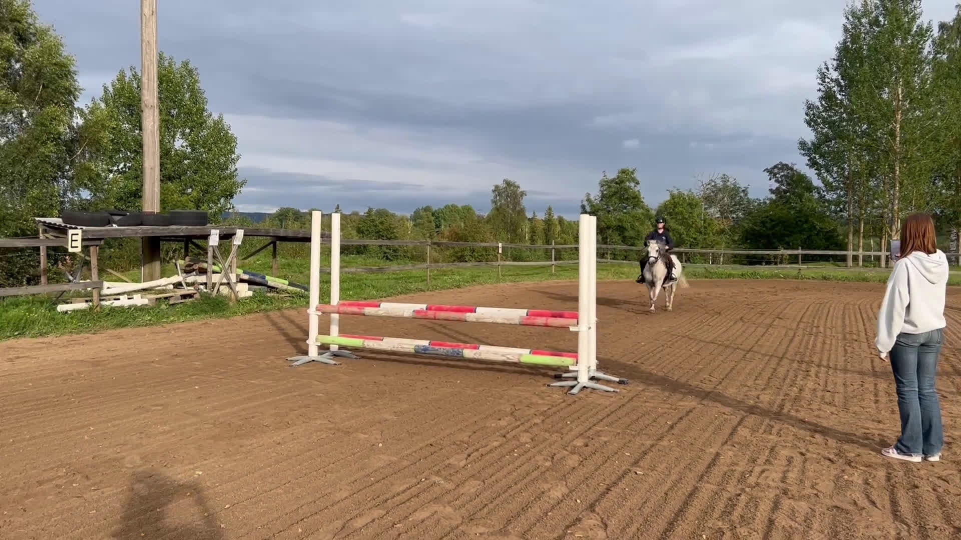 Allround hästar till salu: Känslig men underbar  i Mockfjärd - Video 1