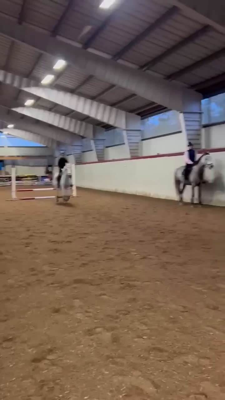 Allround hästar till salu: Läromästare kat C - Video 1