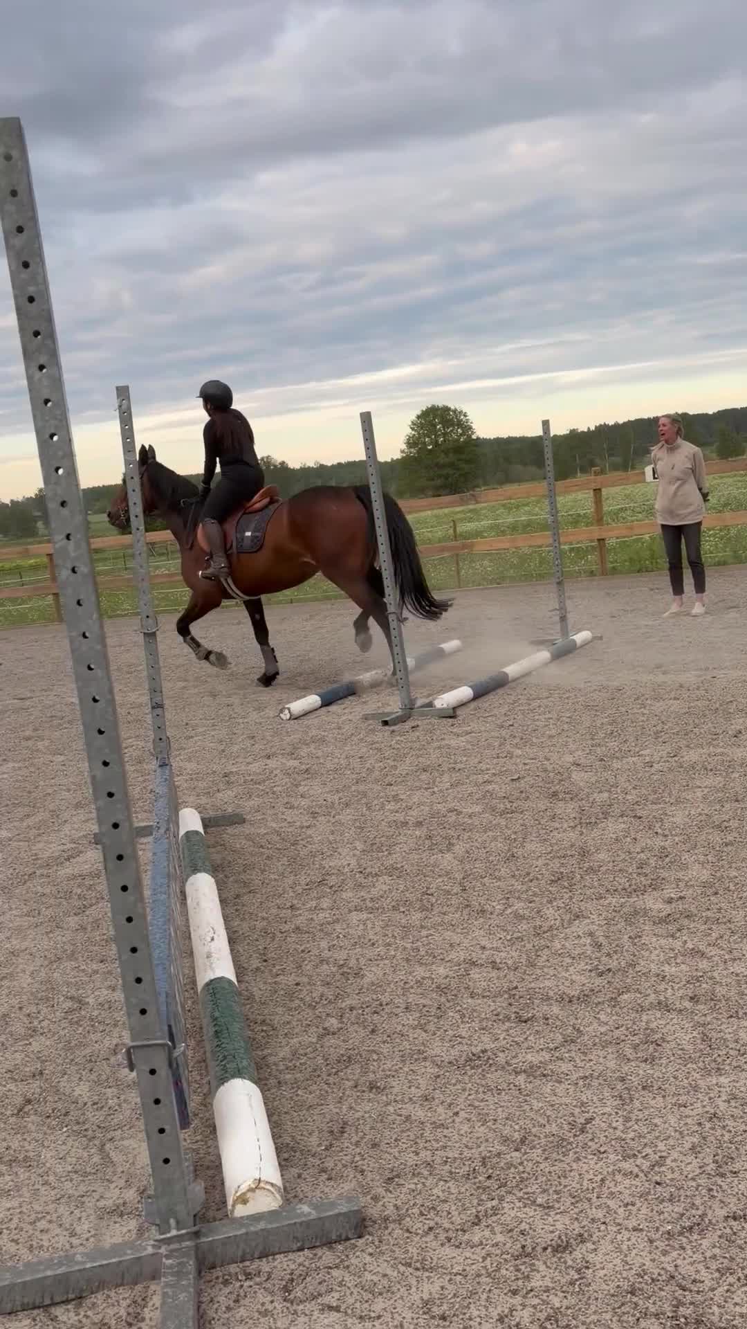 Allround hästar till salu: Bästa vän till rutinerad ryttare i Rimbo - Video 5