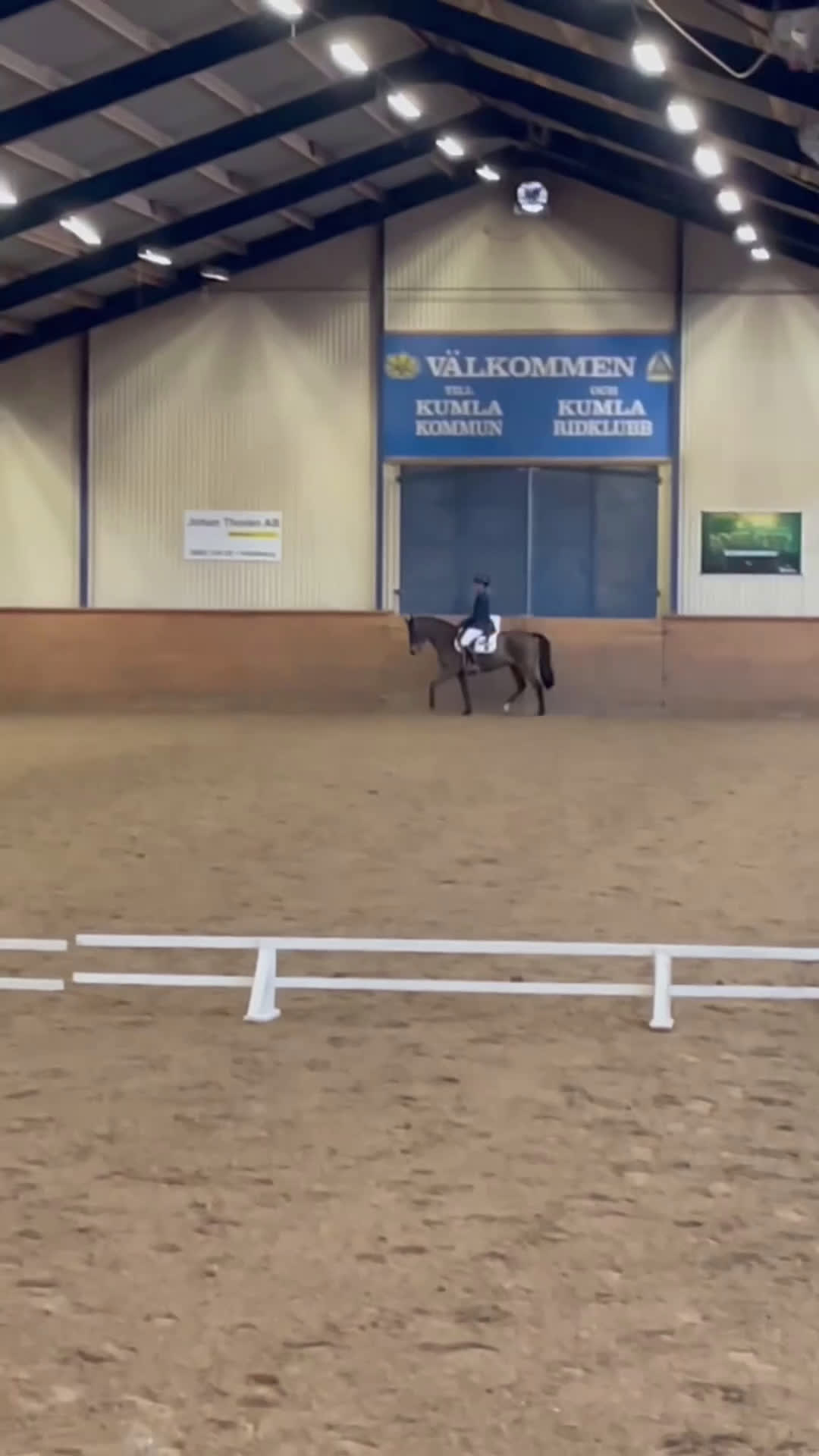 Allround hästar till salu: Läromästare och bästa vän! i Kungsör - Video 1