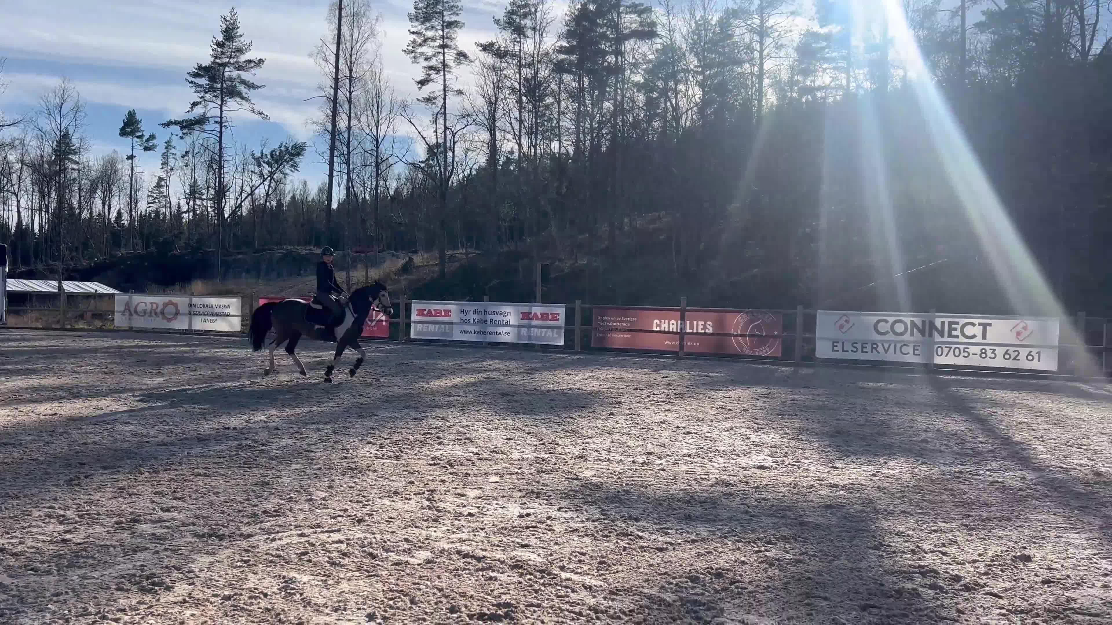 Hoppning hästar till salu: Tävlingsponny med hjärta av guld 💛  - Video 1