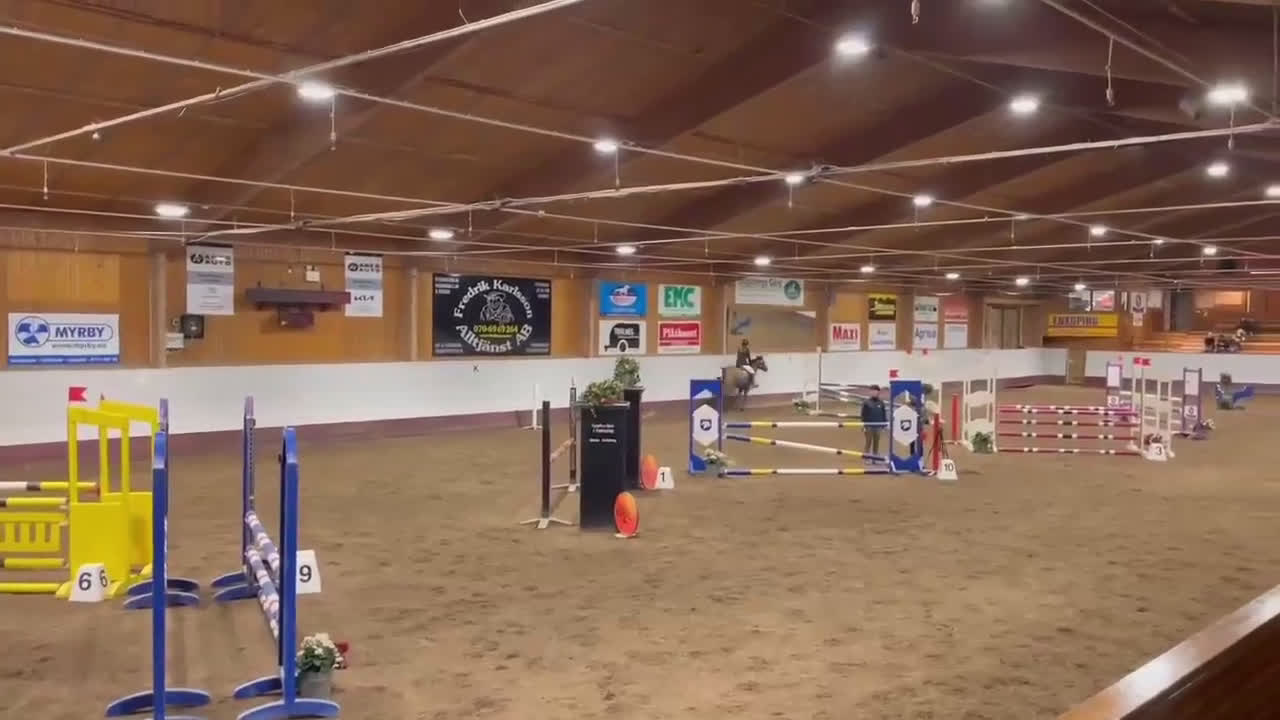 Hoppning hästar till salu: Supersnäll D-ponny i Kungsängen - Video 3