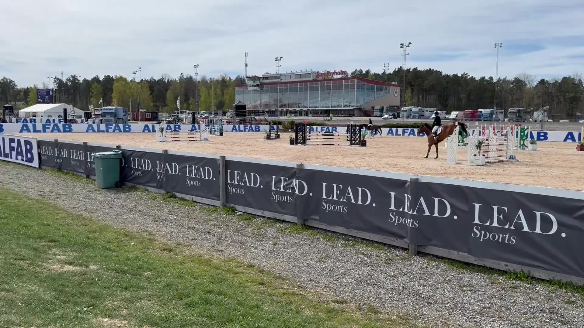 Hoppning hästar till salu: En genomsnäll unghäst för framtiden! i Västerås - Video 2