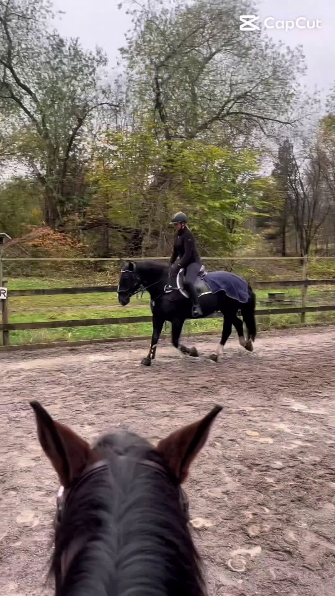  foderhäst finnes: Trevlig träningskompis för den erfarna i Västerås - Video 2