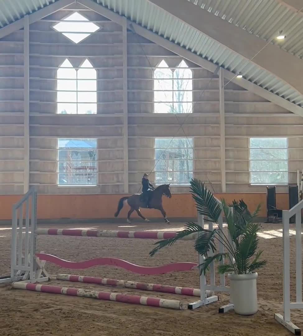 Working Equitation hästar till salu: Trevlig valack! - Video 3