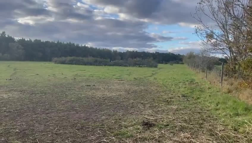  hästjobb finnes: Volontär på Gotland?  i Hemse - Video 1