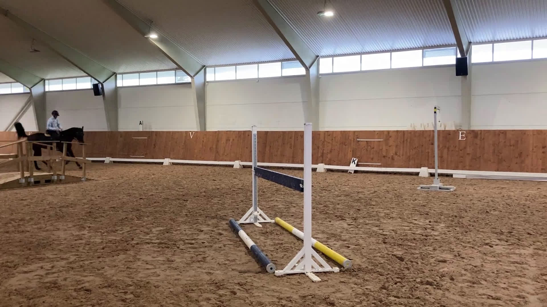 Allround hästar till salu: Fantastisk läromästare i Höör - Video 4