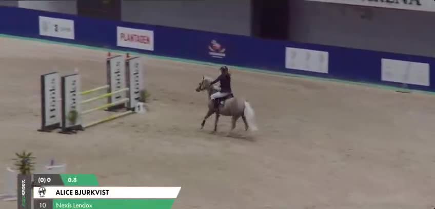 Hoppning hästar till salu: Läromästare till salu  i Kilafors - Video 4