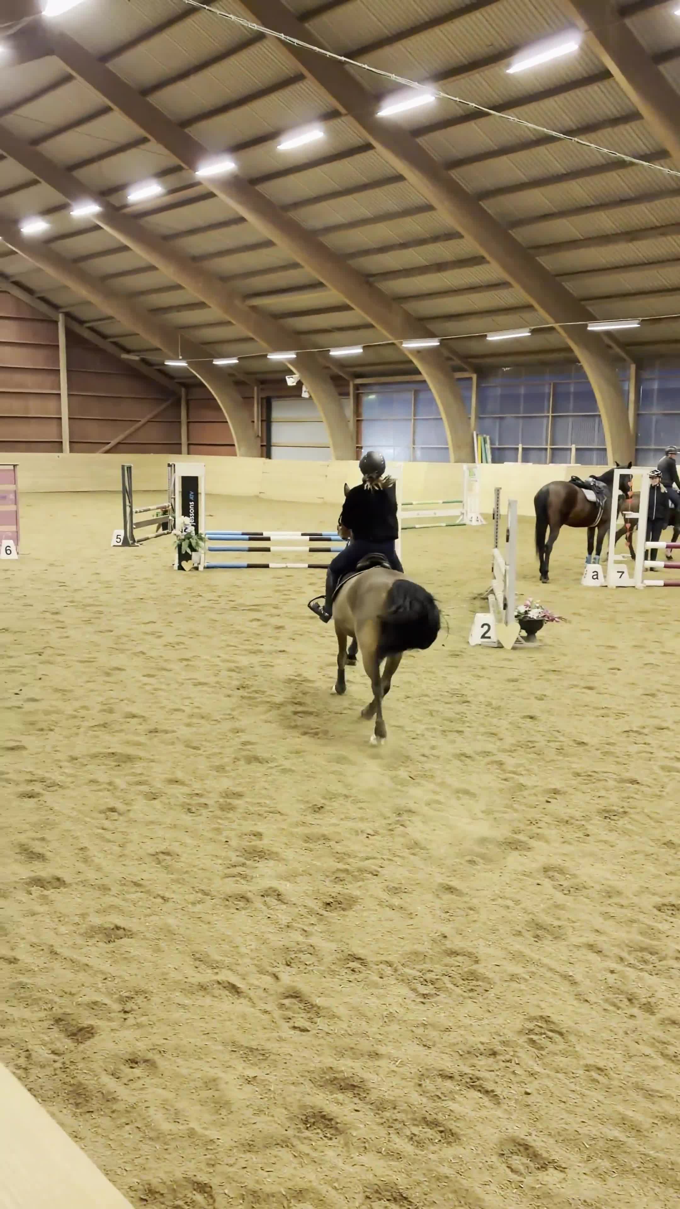 Hoppning hästar till salu: Snäll Allround ponny - Video 2