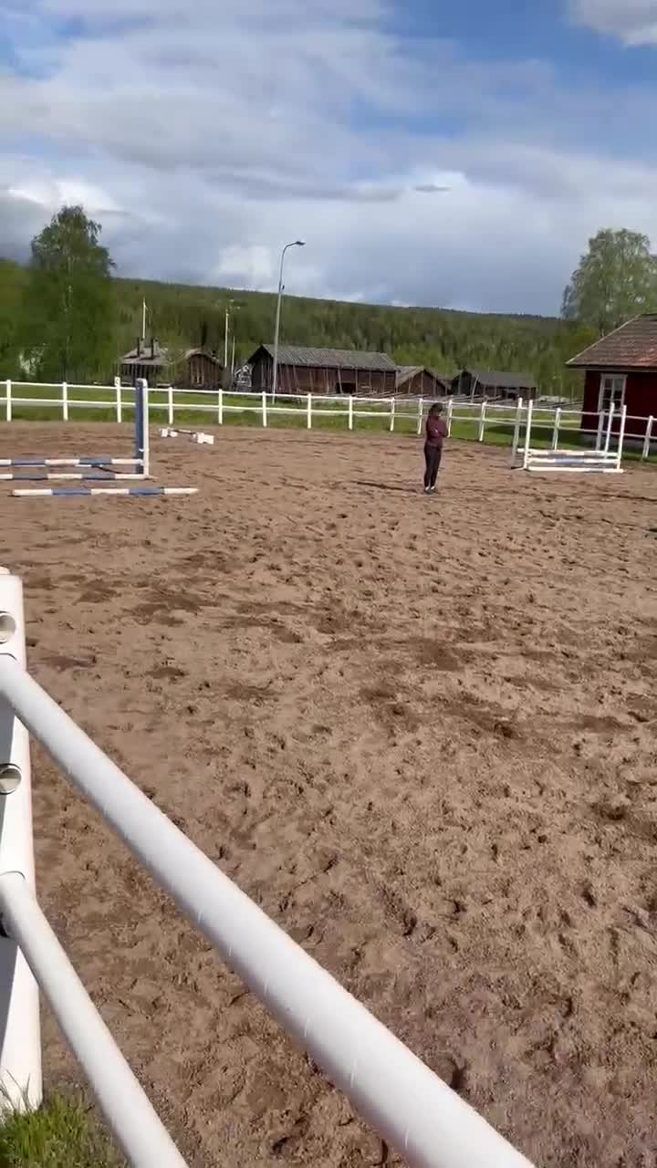 Allround hästar till salu: För den lilla tuffare ryttaren - Video 1