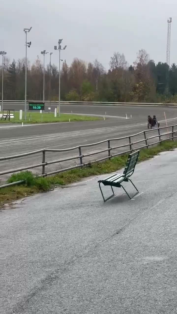 Trav hästar till salu: Toppstammad 2åring - Video 2