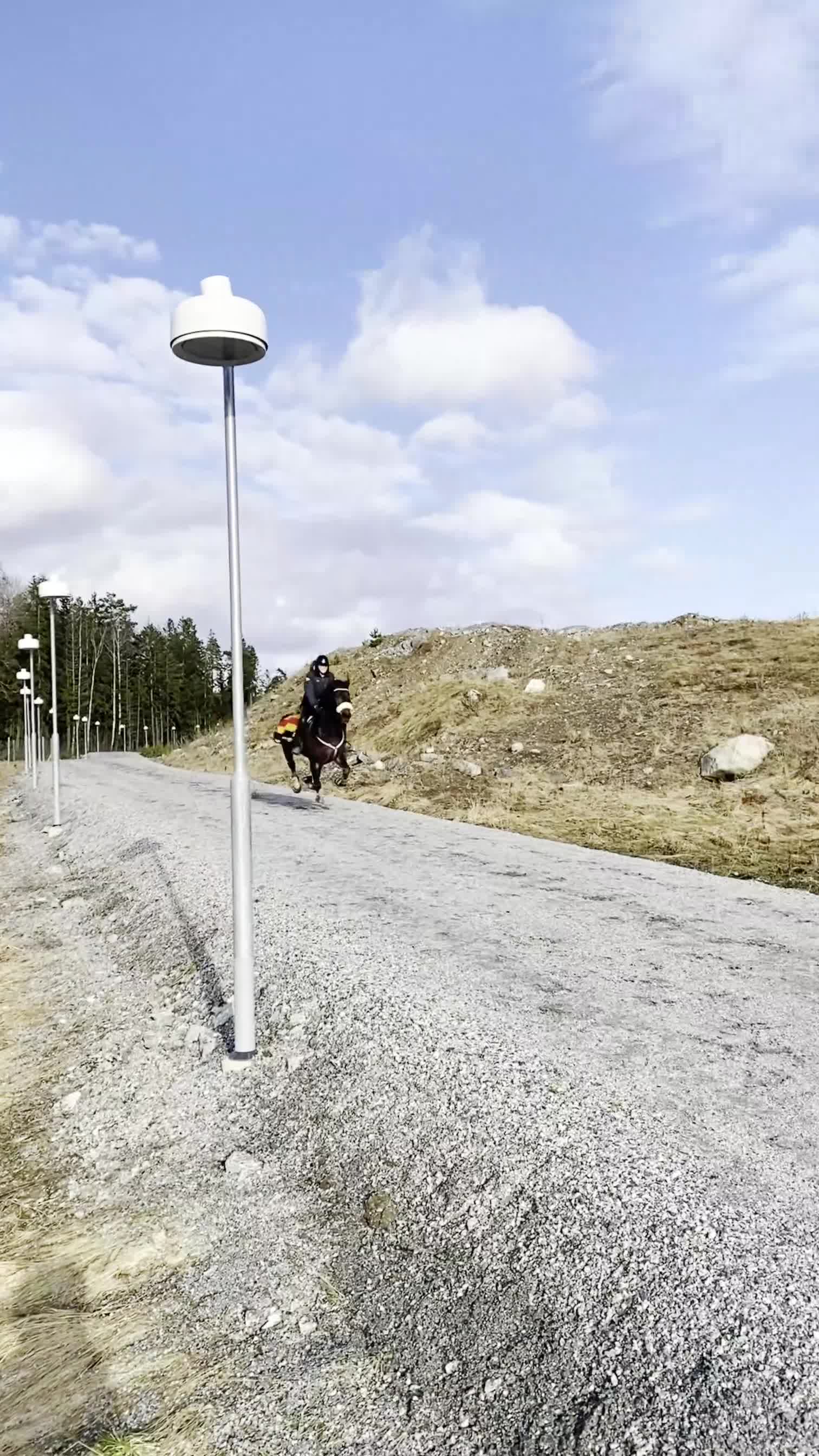 Allround hästar till salu: Jora - fantastisk sto för dig som vill utvecklas i Norrtälje - Video 3