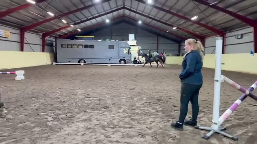 Allround hästar till salu: Snällaste Doris tillsalu - Video 1
