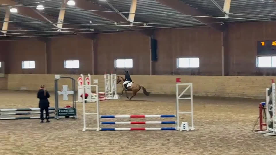 Allround hästar till salu: Supermaxad läromästare med kapacitet  i Värmdö - Video 2