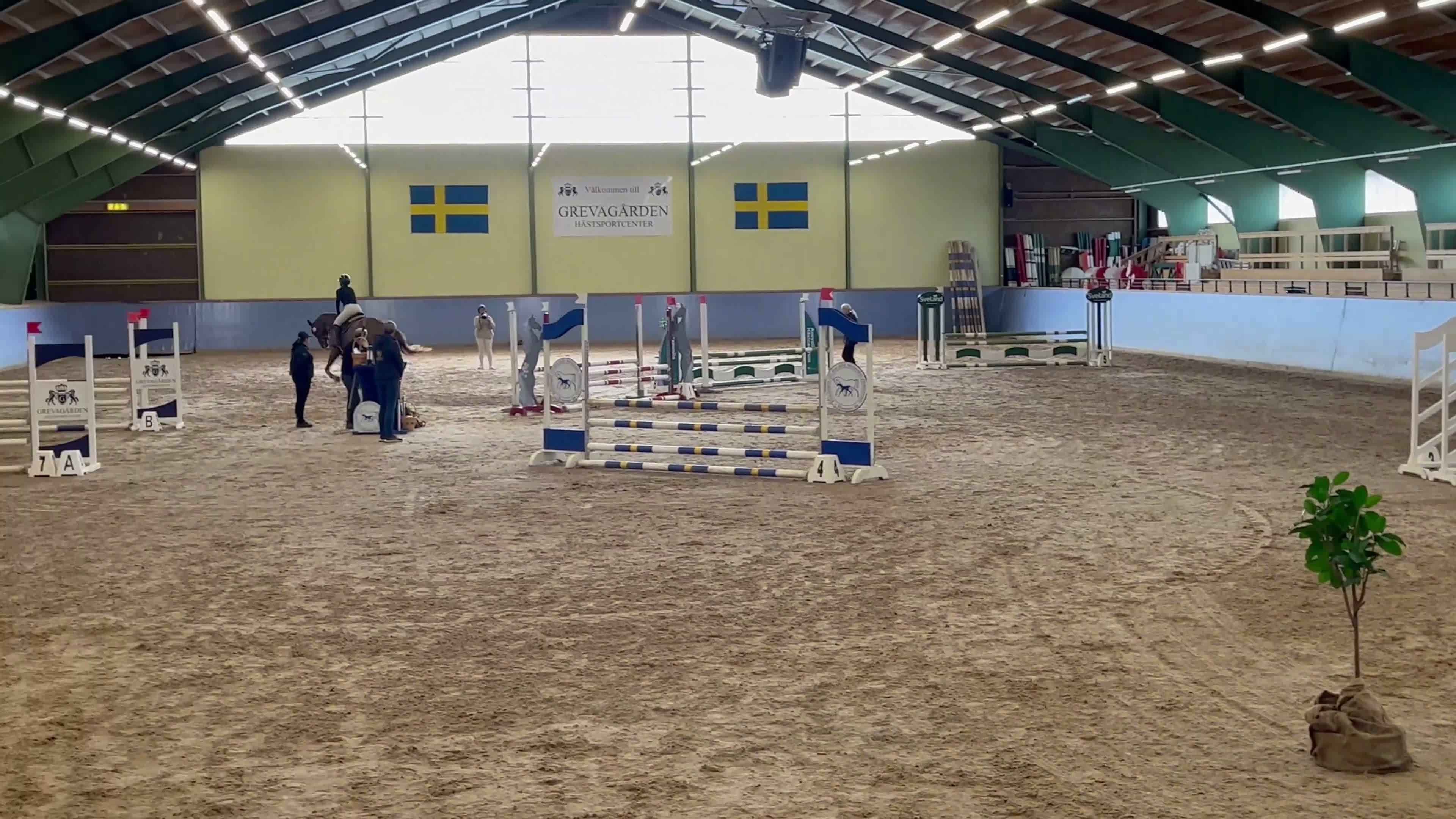 Hoppning hästar till salu: Lovande 4-åring!  - Video 1
