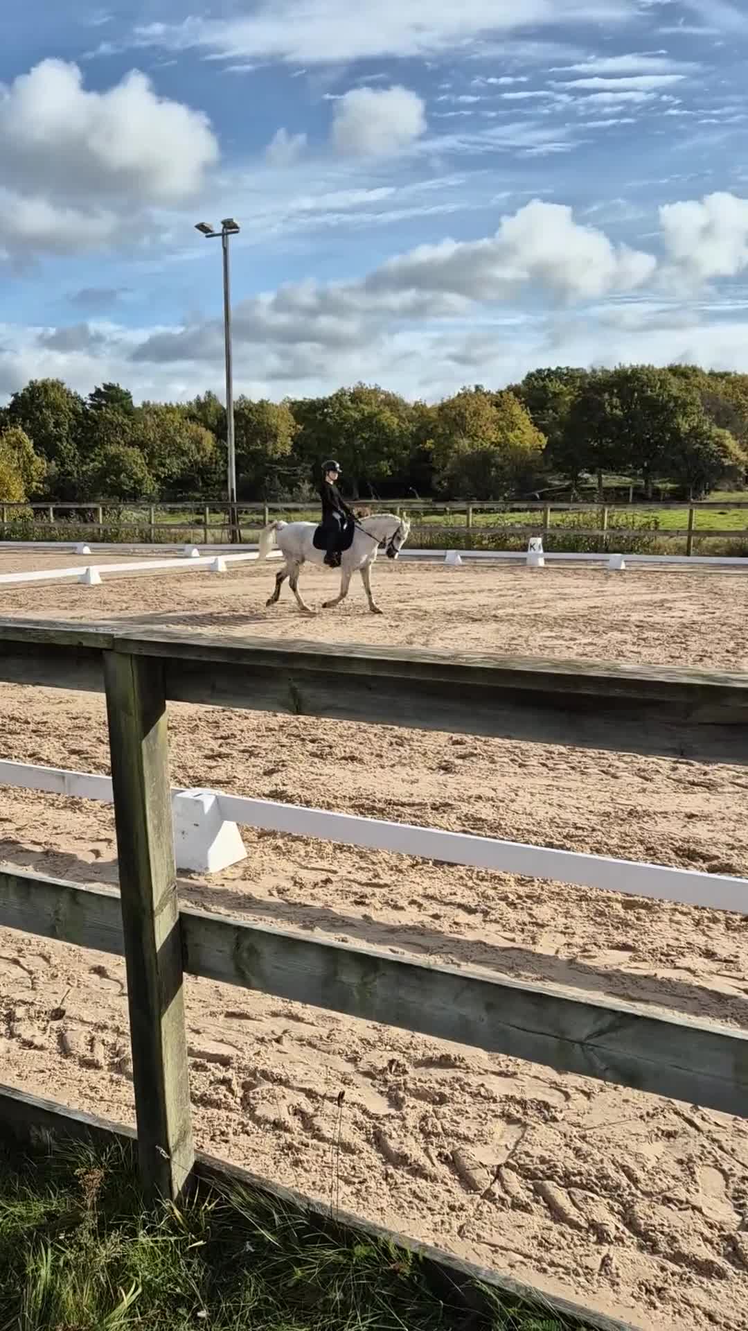 Allround hästar till salu: Snällt C-ponnysto - Video 1