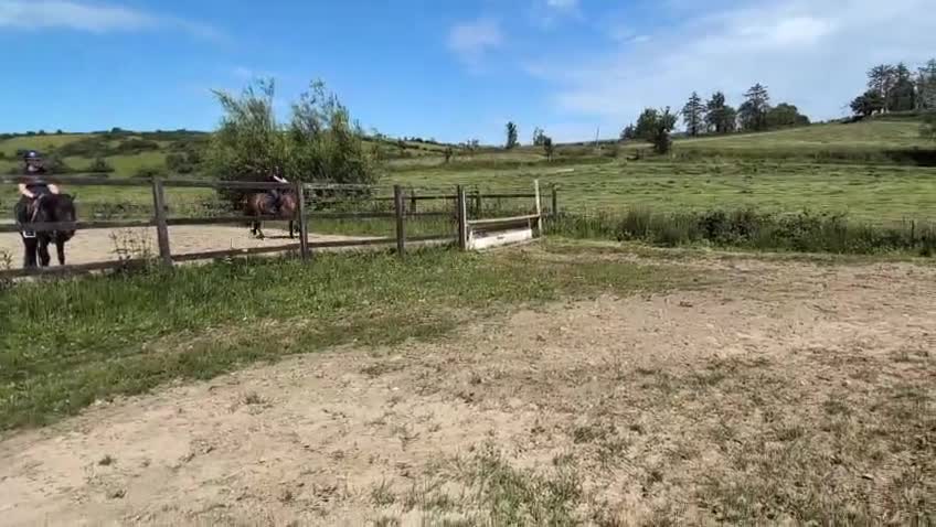 Allround hästar till salu: Rolig allround ponny  i Ödsmål - Video 2