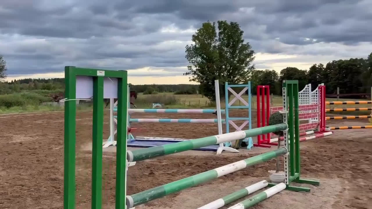 Hoppning hästar till salu: Sto till satsande ryttare i Habo - Video 1