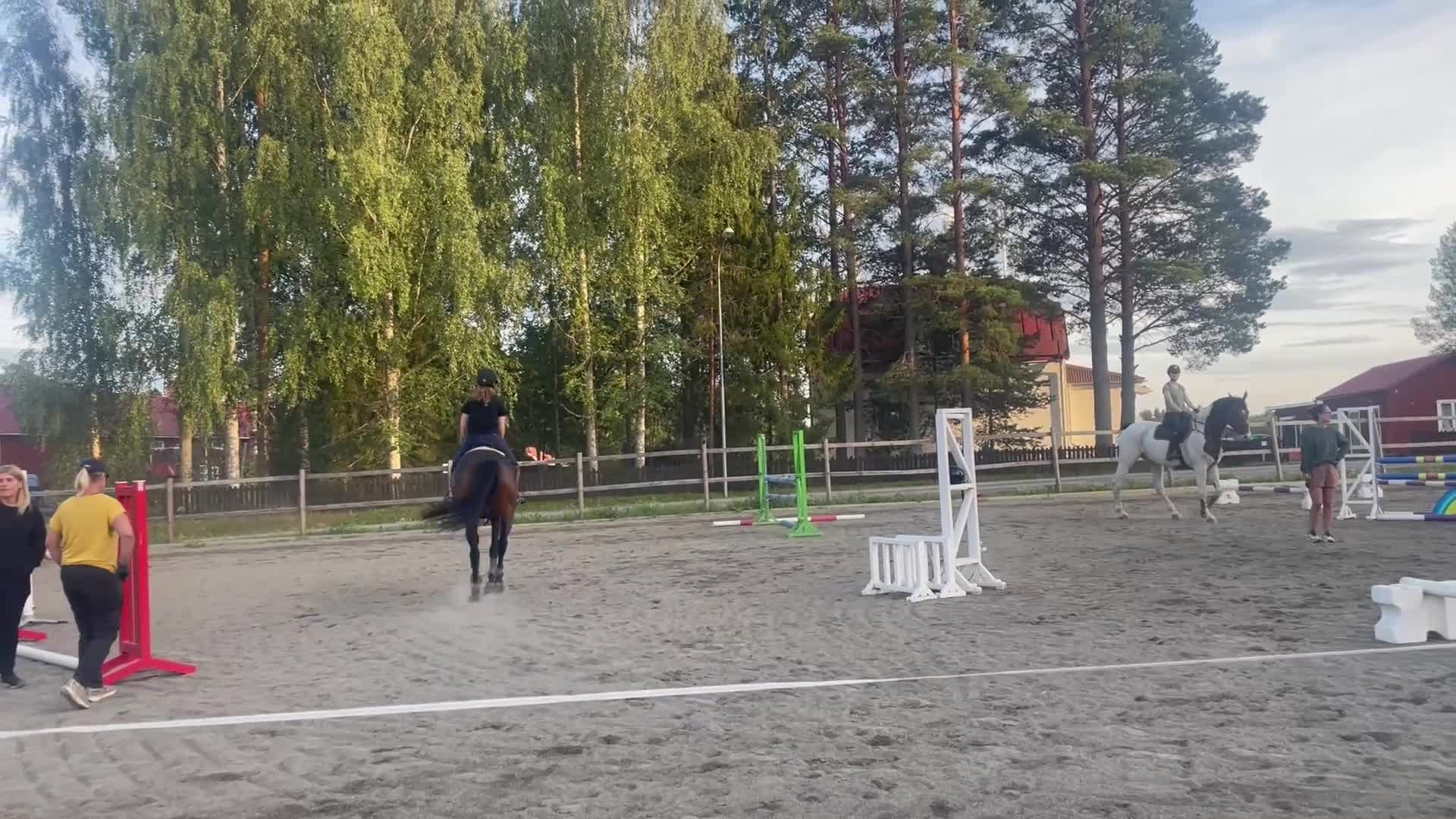 Hoppning hästar till salu: Snäll allroundhäst - Video 3
