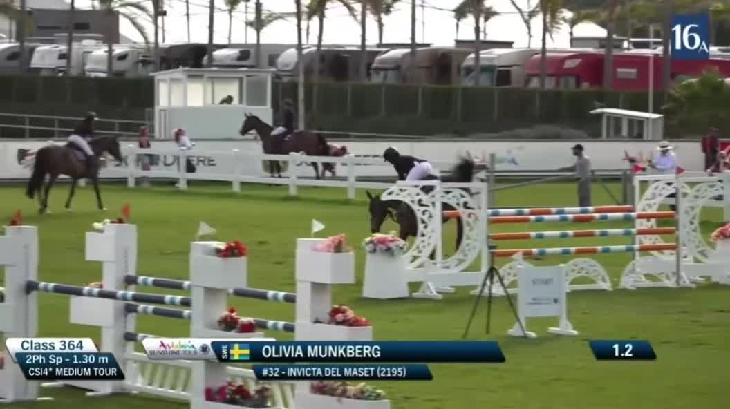 Hoppning hästar till salu: Spektakulärt sto med ett hjärta av guld!!💕🌟 - Video 1