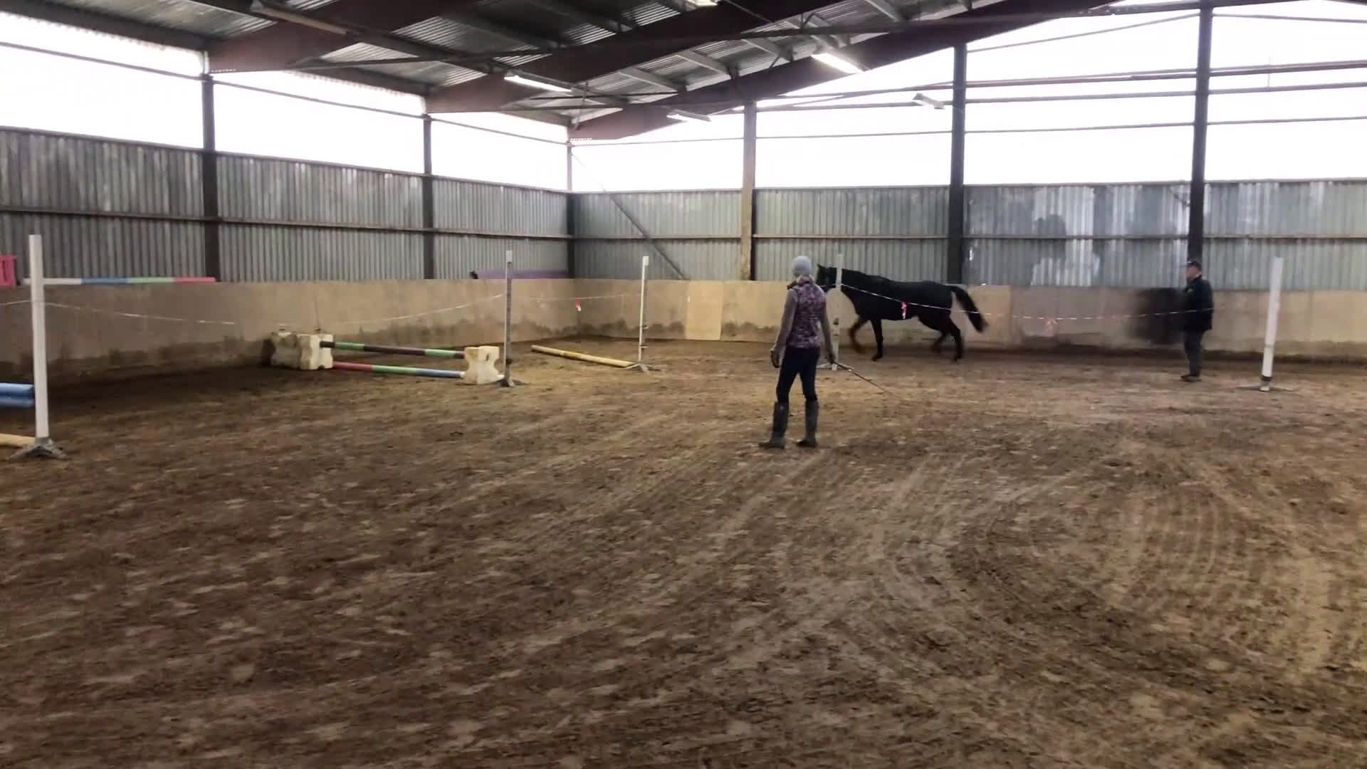 Hoppning hästar till salu: Lovande unghäst! SÅLD - Video 1