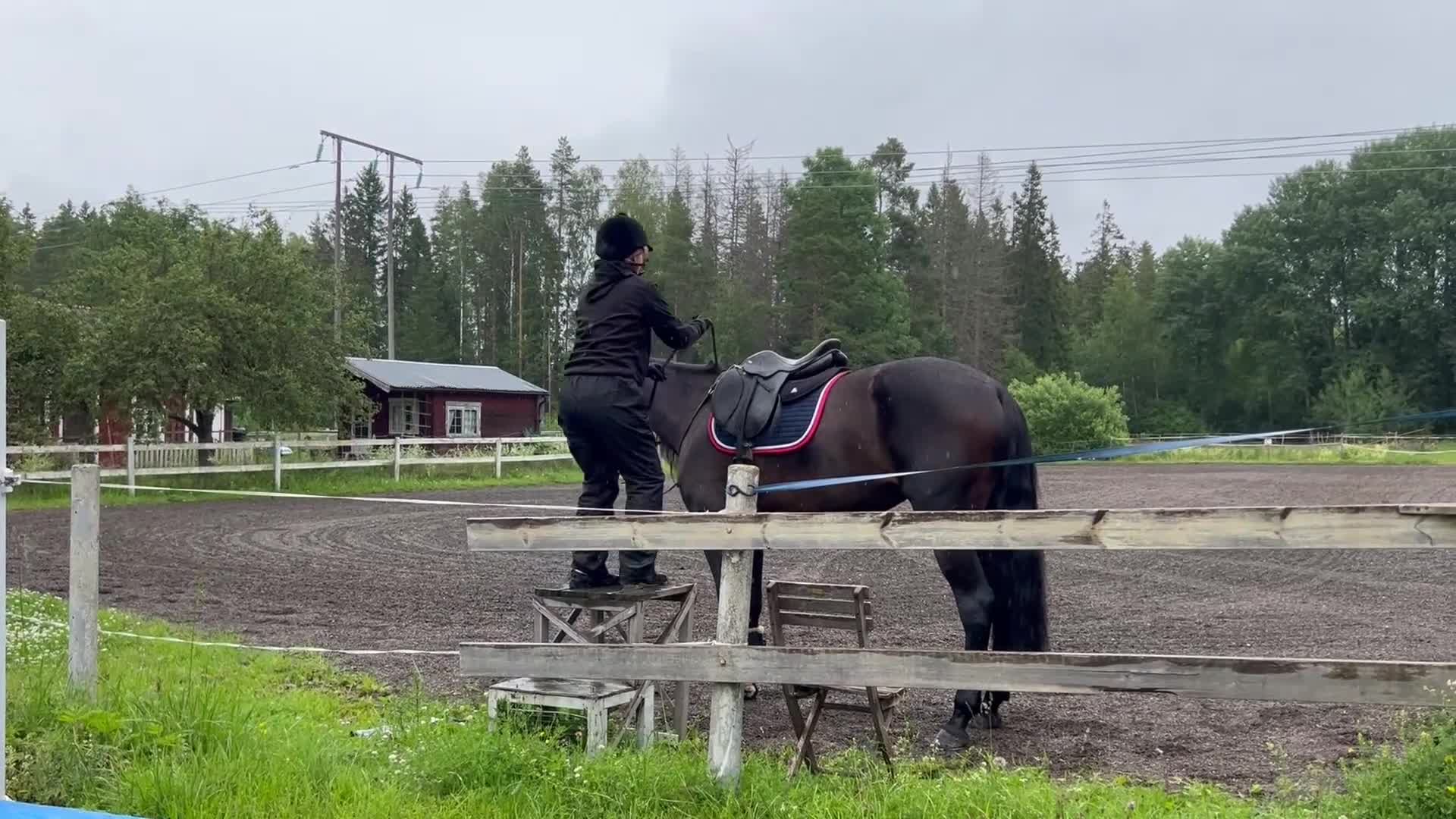 Trav hästar till salu: Monte/Starthäst/ridhäst/avel - Video 4