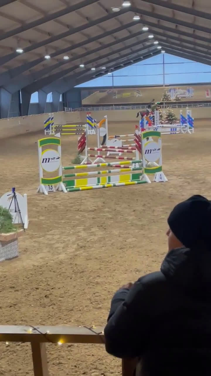 Allround hästar till salu: Jättefin sportponny i Nykil - Video 1