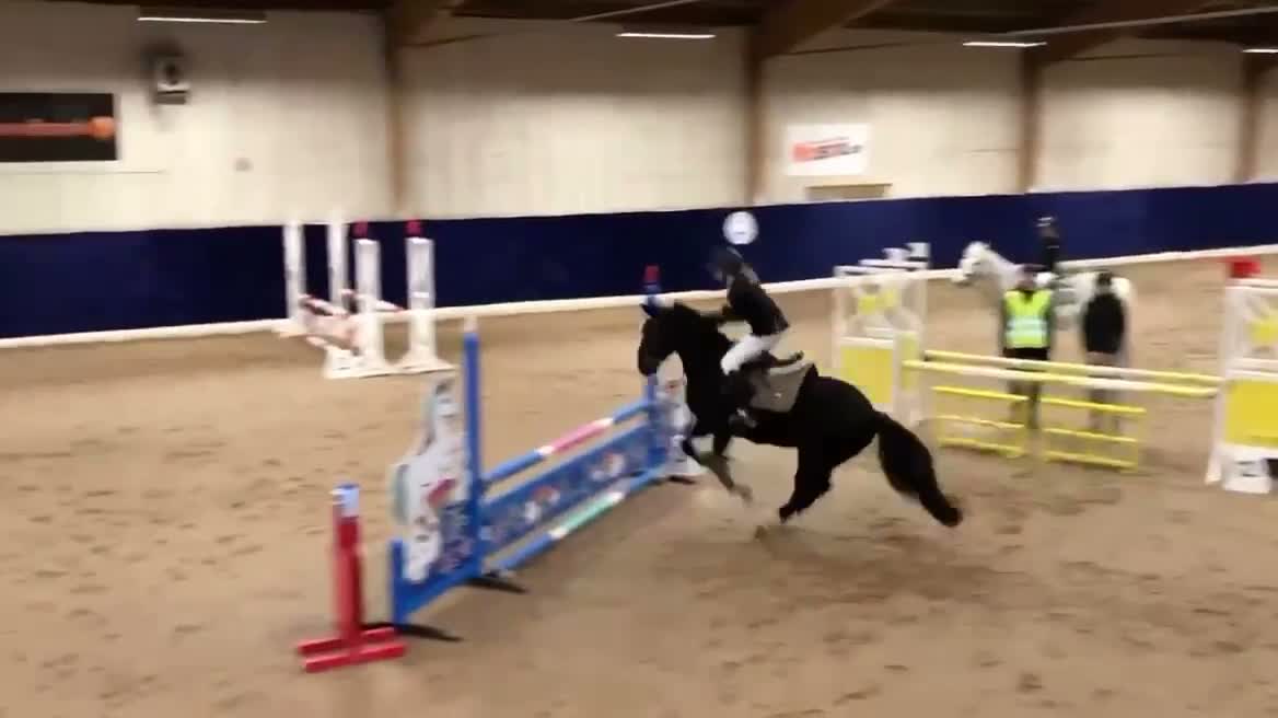 Allround hästar till salu: En dröm i svart kostym 🖤 - Video 4
