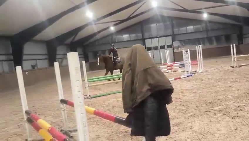 Hoppning hästar till salu: Tillfälle  - Video 2