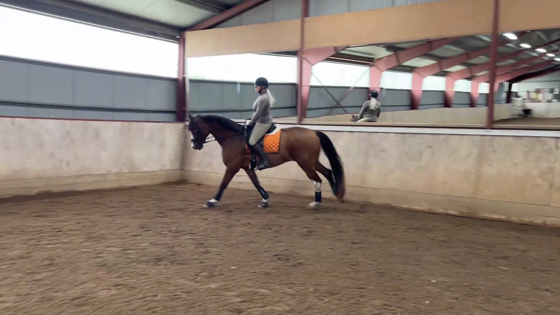 Dressyr hästar till salu: Dressyrämne med stor charm och potential! i Härslöv - Video 4